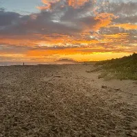 Kaitlyn S.